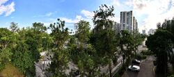 Sora (D22), Apartment #558214411
